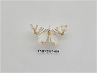 藏品(尺蛾592.1)的圖片